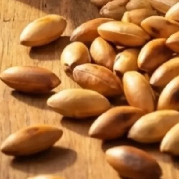 Castanha de baru, Barufé